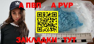 амф Кингисепп