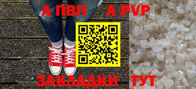 амф Кингисепп