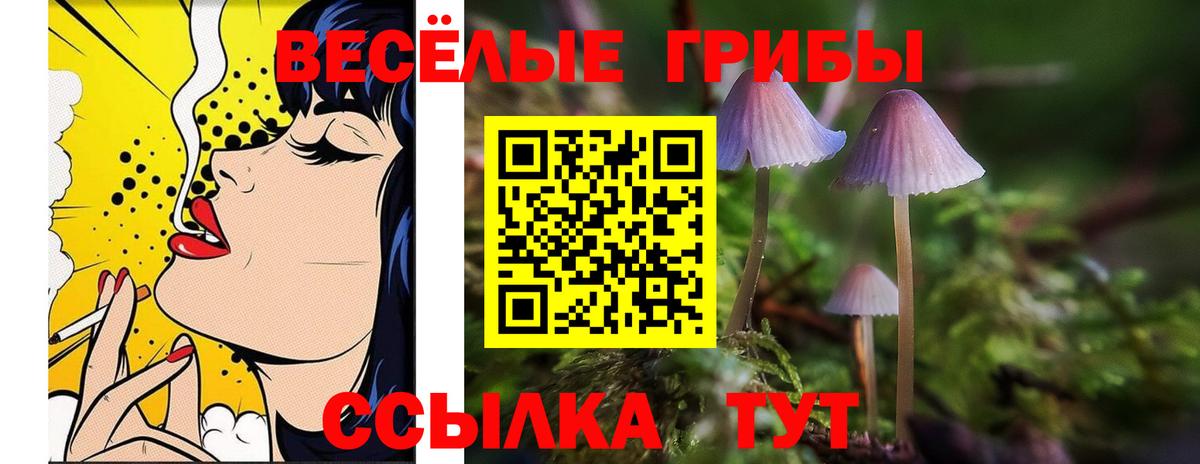 Ялта  Галлюциногенные грибы ЛСД  Вход с VPN  Псилоцибиновые грибы MAGIC MUSHROOMS 
